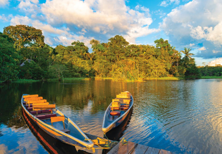 Croisière en forêt équatoriale : le Rio Napo et le parc National Yasuni